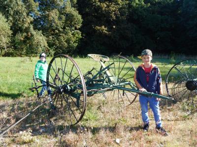 Foto des Albums: Wandertag Klasse 2a