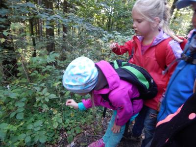 Foto des Albums: Wandertag Klasse 2a