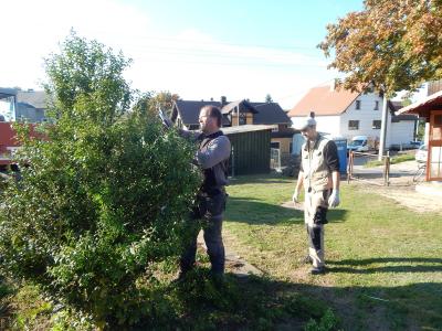 Foto des Albums: Schulgarteneinsatz