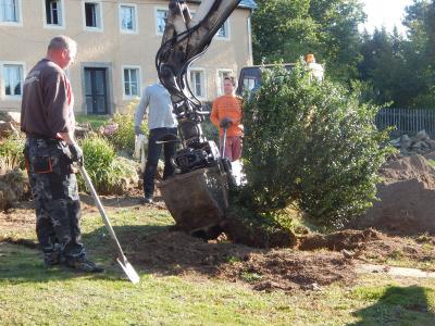 Foto des Albums: Schulgarteneinsatz