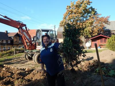 Foto des Albums: Schulgarteneinsatz