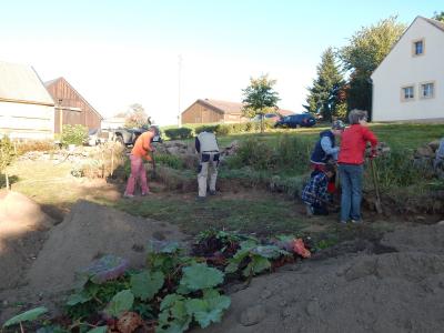 Foto des Albums: Schulgarteneinsatz