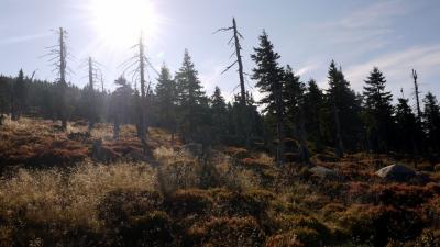 Foto des Albums: Wandern der Abt. TT in Špindlerův Mlýn