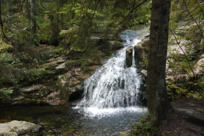 Foto des Albums: Wandern der Abt. TT in Špindlerův Mlýn