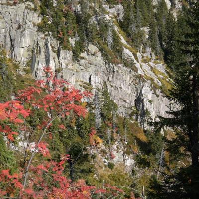 Foto des Albums: Wandern der Abt. TT in Špindlerův Mlýn