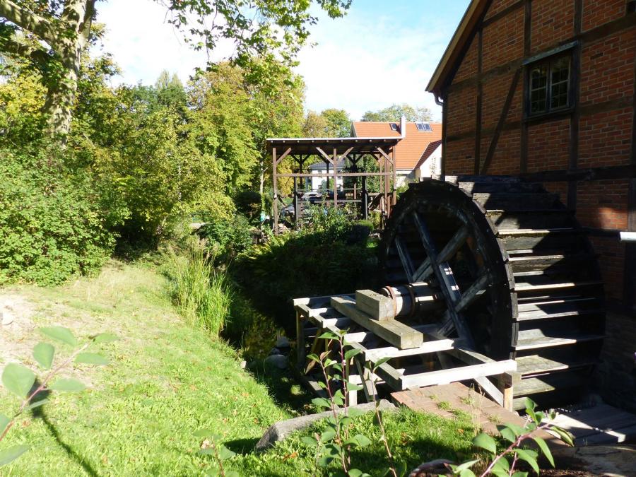 Bild der Galerie