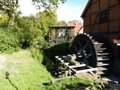 Foto des Albums: Ausflug der Klasse 4b nach Schwerin in das Planetarium und in die Schleifmühle