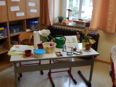 Foto des Albums: Apfelprojektwoche Klasse 1b