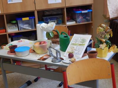Foto des Albums: Apfelprojektwoche Klasse 1b