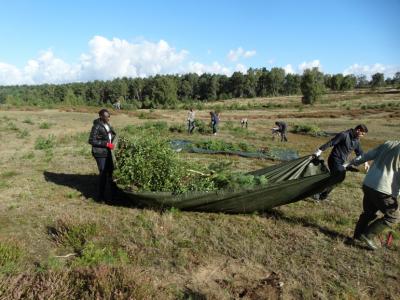 Foto des Albums: Tag der Kulturen – Wulmstorfer Heide