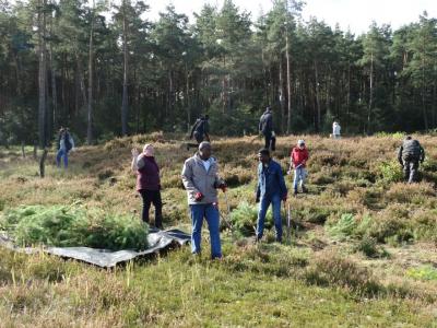 Foto des Albums: Tag der Kulturen – Wulmstorfer Heide