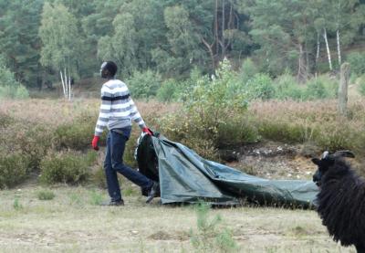 Foto des Albums: Tag der Kulturen – Wulmstorfer Heide