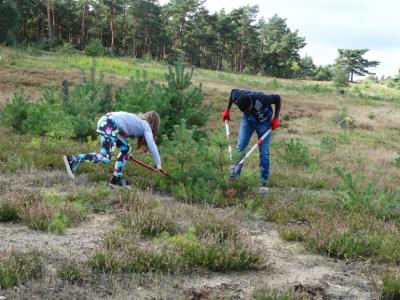 Foto des Albums: Tag der Kulturen – Wulmstorfer Heide