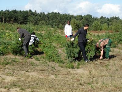 Foto des Albums: Tag der Kulturen – Wulmstorfer Heide
