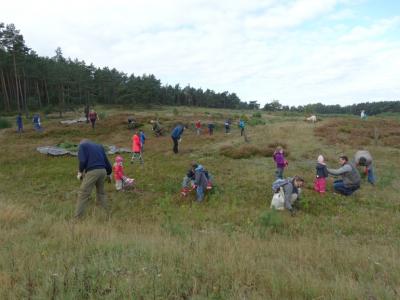 Foto des Albums: Tag der Kulturen – Wulmstorfer Heide