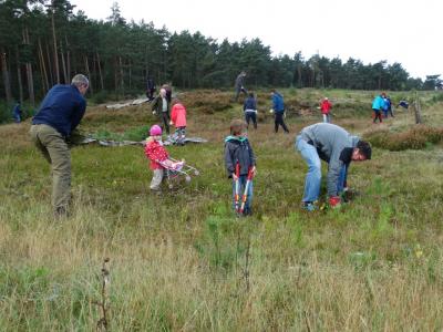 Foto des Albums: Tag der Kulturen – Wulmstorfer Heide