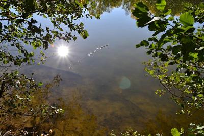 Foto des Albums: Sonnige Herbststimmung am Falkenhagener und am Neuen See