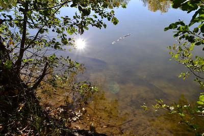 Foto des Albums: Sonnige Herbststimmung am Falkenhagener und am Neuen See