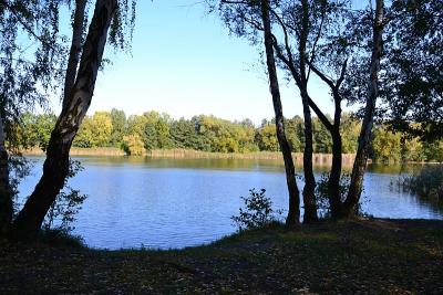 Foto des Albums: Sonnige Herbststimmung am Falkenhagener und am Neuen See