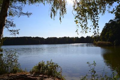 Foto des Albums: Sonnige Herbststimmung am Falkenhagener und am Neuen See