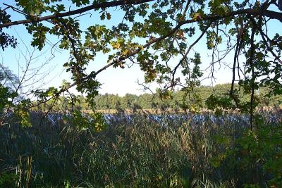 Foto des Albums: Sonnige Herbststimmung am Falkenhagener und am Neuen See