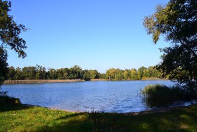 Foto des Albums: Sonnige Herbststimmung am Falkenhagener und am Neuen See