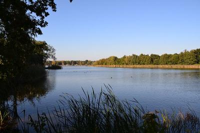 Foto des Albums: Sonnige Herbststimmung am Falkenhagener und am Neuen See