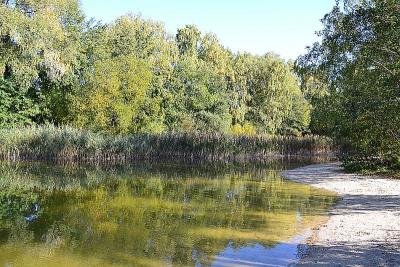 Foto des Albums: Sonnige Herbststimmung am Falkenhagener und am Neuen See