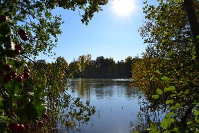 Foto des Albums: Sonnige Herbststimmung am Falkenhagener und am Neuen See