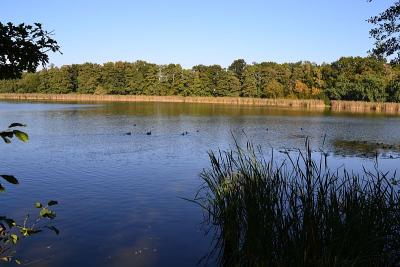Foto des Albums: Sonnige Herbststimmung am Falkenhagener und am Neuen See