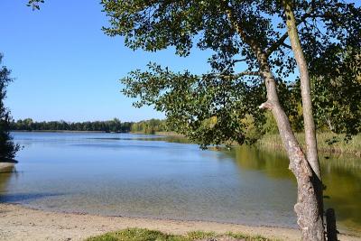 Foto des Albums: Sonnige Herbststimmung am Falkenhagener und am Neuen See