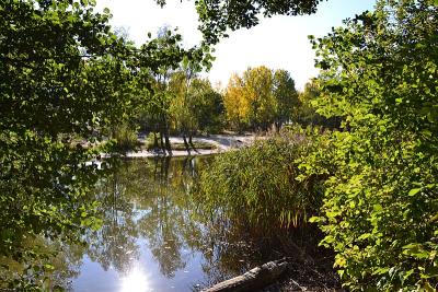 Foto des Albums: Sonnige Herbststimmung am Falkenhagener und am Neuen See