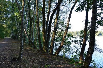 Foto des Albums: Sonnige Herbststimmung am Falkenhagener und am Neuen See