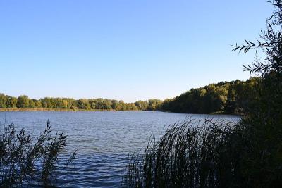 Foto des Albums: Sonnige Herbststimmung am Falkenhagener und am Neuen See