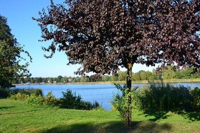 Foto des Albums: Sonnige Herbststimmung am Falkenhagener und am Neuen See