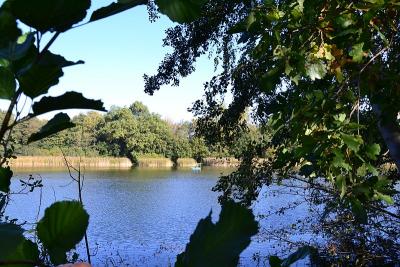 Foto des Albums: Sonnige Herbststimmung am Falkenhagener und am Neuen See