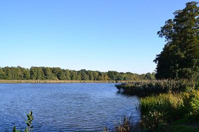 Foto des Albums: Sonnige Herbststimmung am Falkenhagener und am Neuen See