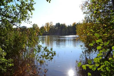 Foto des Albums: Sonnige Herbststimmung am Falkenhagener und am Neuen See