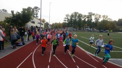 Foto des Albums: Sponsorenlauf 2015 (15. 10. 2015)