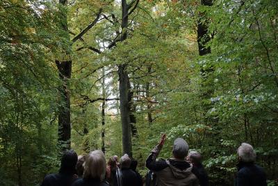 5. Berlin-Brandenburgischen Salon  (Bild vergr&ouml;&szlig;ern)