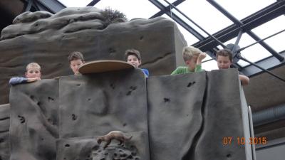 Foto des Albums: Exkursion Nationalpark Klasse 4