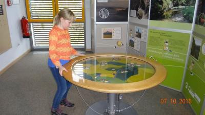 Foto des Albums: Exkursion Nationalpark Klasse 4