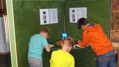 Foto des Albums: Exkursion Nationalpark Klasse 4