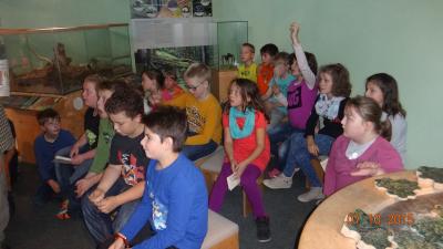 Foto des Albums: Exkursion Nationalpark Klasse 4