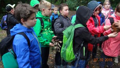 Foto des Albums: Exkursion Nationalpark Klasse 4