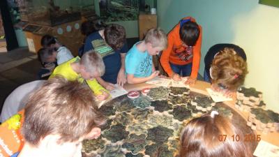Foto des Albums: Exkursion Nationalpark Klasse 4