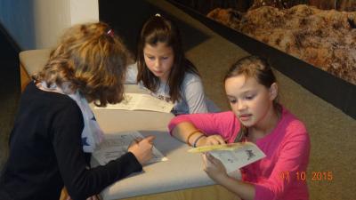 Foto des Albums: Exkursion Nationalpark Klasse 4