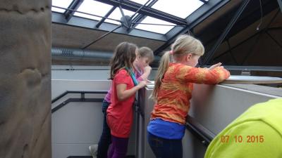 Foto des Albums: Exkursion Nationalpark Klasse 4