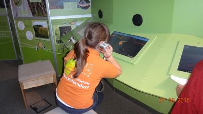 Foto des Albums: Exkursion Nationalpark Klasse 4