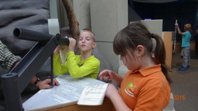 Foto des Albums: Exkursion Nationalpark Klasse 4